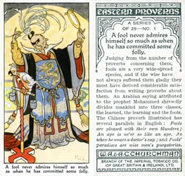 A fool never admires himself so much as when he has committed some folly